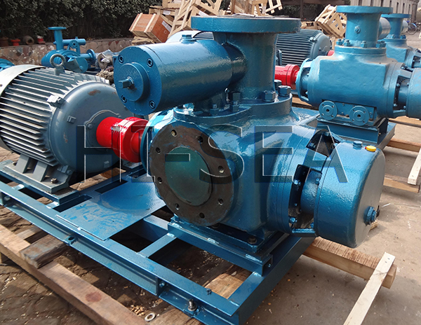 The Picture of 2 W.W Twin Screw Pump